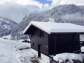 Chalet 6 pers à Châtel, proche centre et remontées, terrasse et équipements modernes - FR-1-676-135